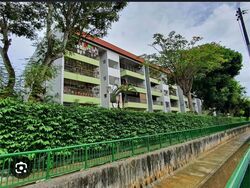Tanah Merah Mansion (D16), Condominium #608929491